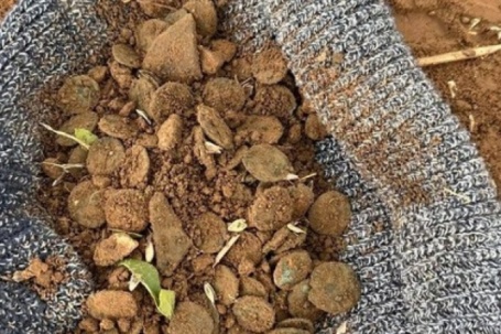 3 người đàn ông đào được "kho báu" quý giá trên cánh đồng