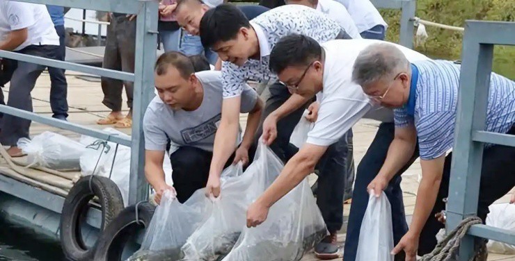 Bỏ trăm tỷ nuôi cá, cả đàn cá mất tích bí ẩn, vài năm sau thu về hàng trăm tỷ đồng - 2