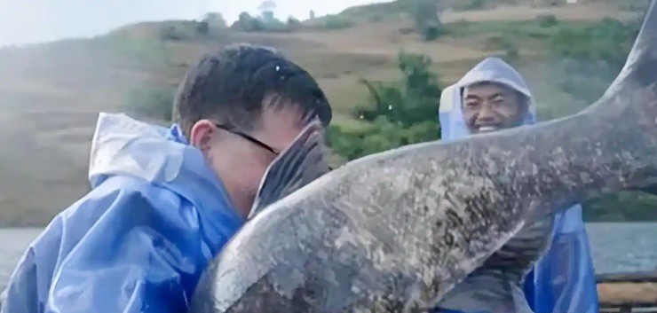 Bỏ trăm tỷ nuôi cá, cả đàn cá mất tích bí ẩn, vài năm sau thu về hàng trăm tỷ đồng - 4