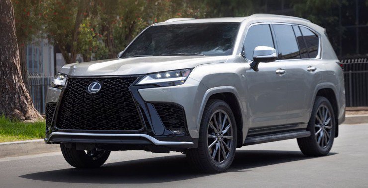 Vẻ ngoài khỏe khoắn và bề thế.