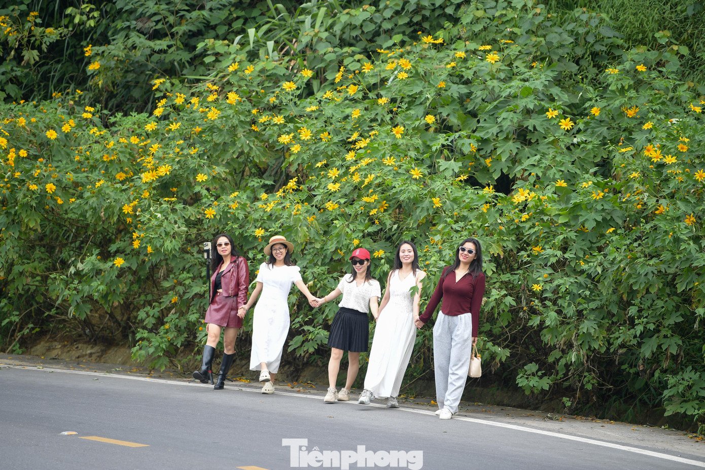 Ba Vì sau ngày ‘vỡ trận’ check-in, hoa dã quỳ có còn rực rỡ? - 12