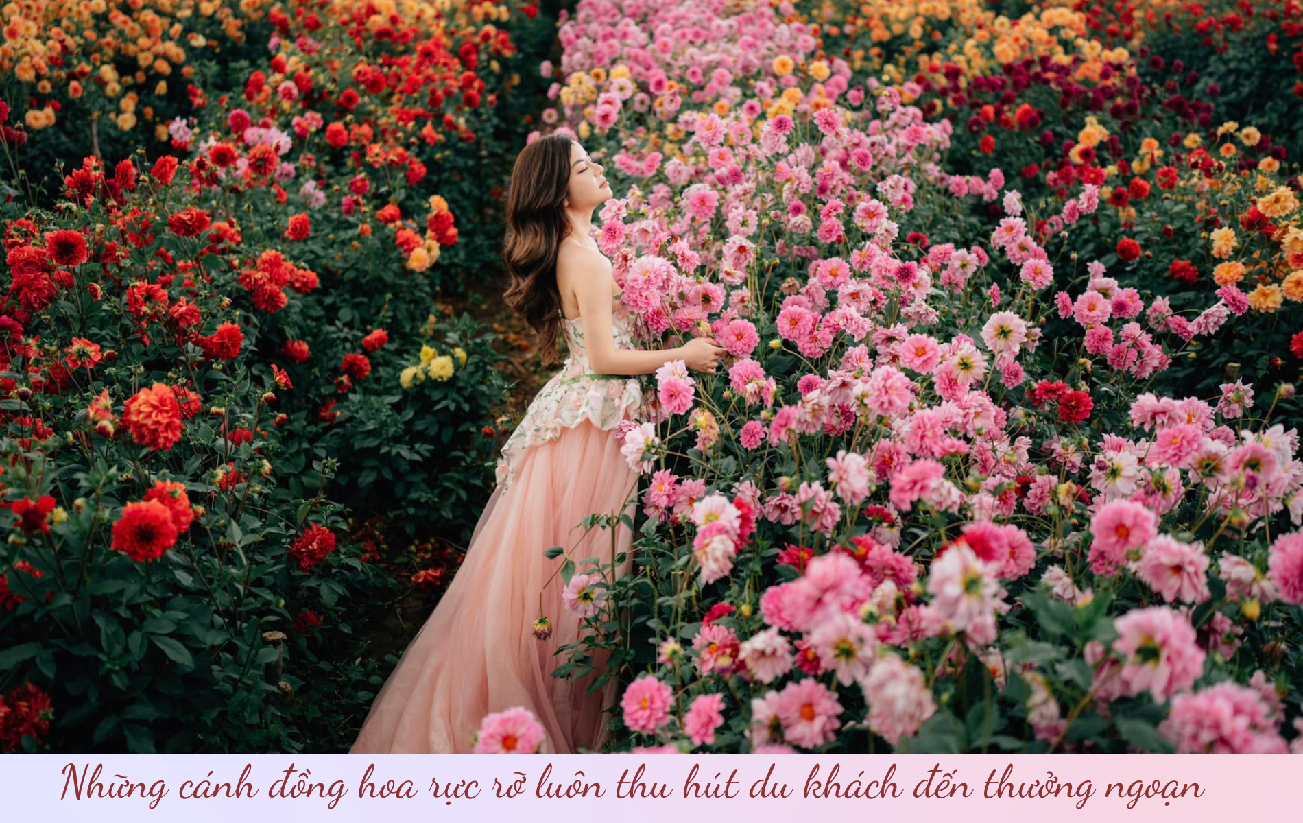 Những địa điểm không thể bỏ lỡ khi tới 