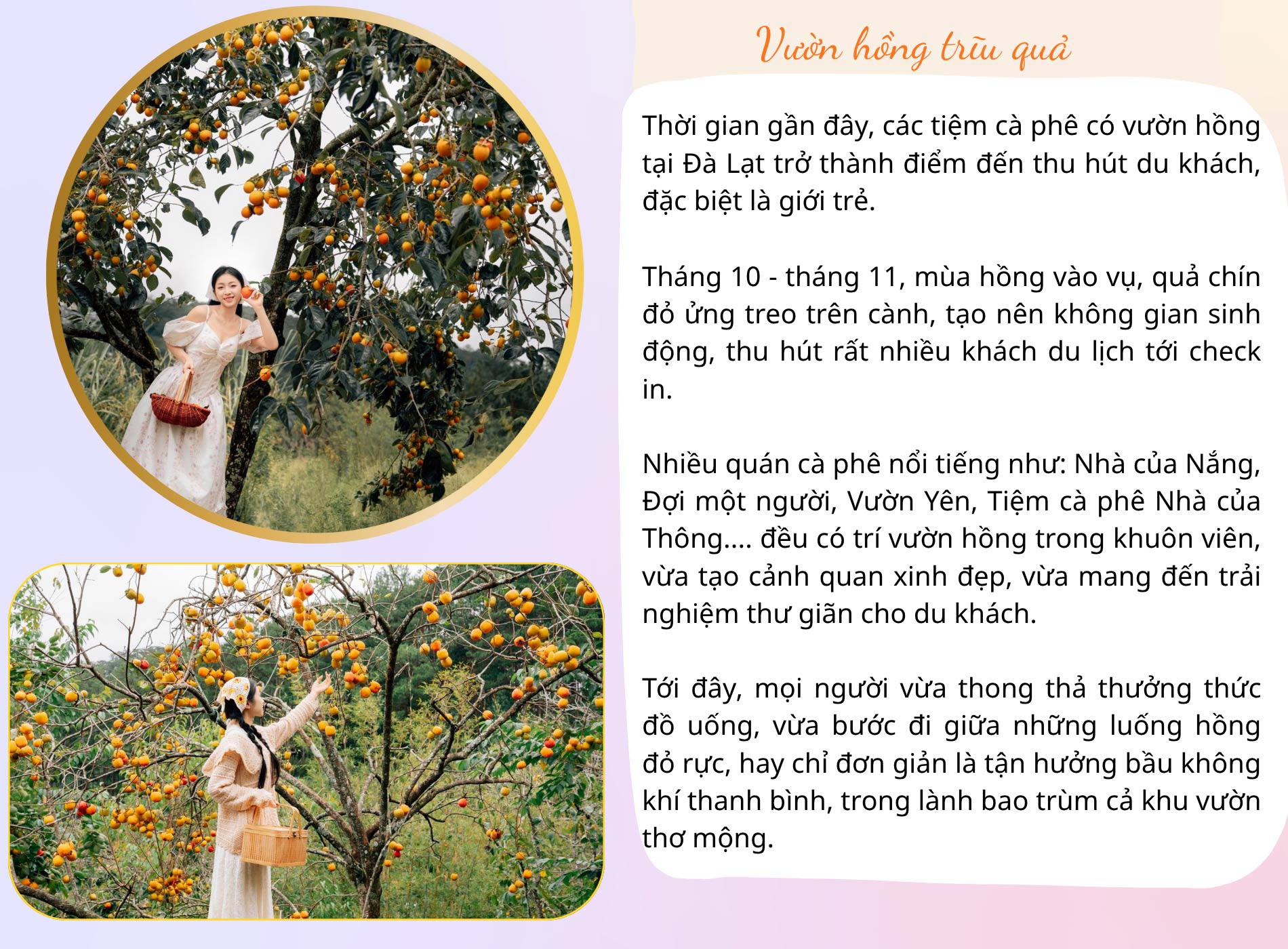 Những địa điểm không thể bỏ lỡ khi tới 