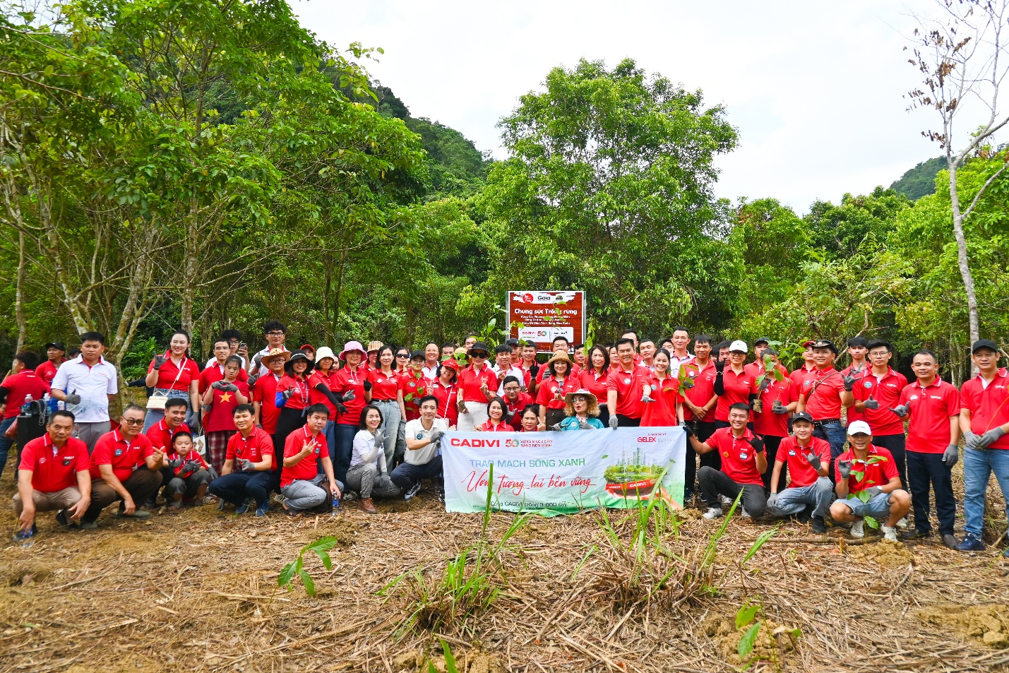 CADIVI thực hiện chương trình trồng cây thể hiện rõ ràng cam kết thúc đẩy bảo vệ môi trường và tăng cường sự gắn kết nội bộ qua những hành động đầy ý nghĩa.