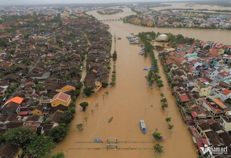 Hội An lại ngập sâu: Dân hối hả chạy lũ, du khách tò mò lội nước check-in - 1
