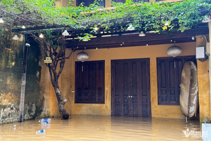 Hội An lại ngập sâu: Dân hối hả chạy lũ, du khách tò mò lội nước check-in - 14