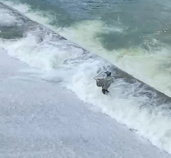 Người dân liều mình đi ra giữa dòng nước xiết.