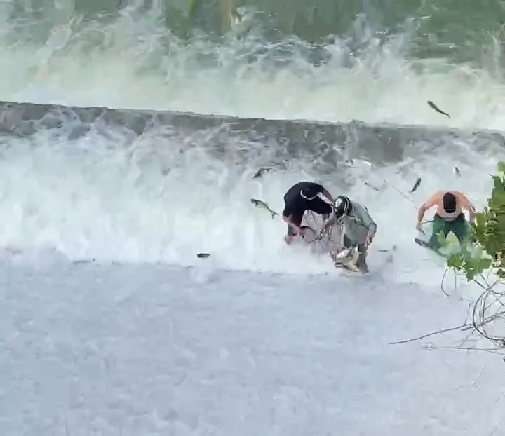 Hình ảnh người dân lao ra vớt cá được ghi lại. Ảnh cắt từ clip