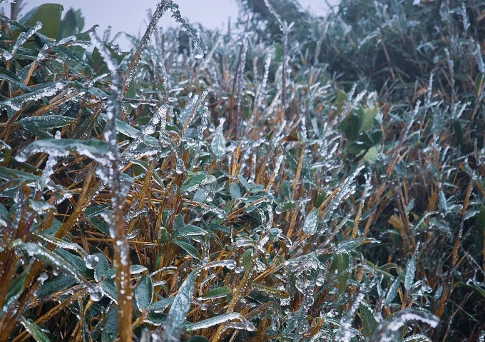 Băng giá trên đỉnh Ngũ Chỉ Sơn, sáng 19/11. Ảnh: Vua Ăn Mày