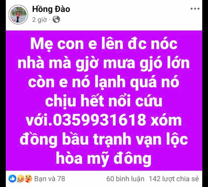 Chị Đỗ Thị Hồng Đào đăng tải thông tin cầu cứu