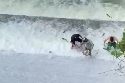 Tin tức trong ngày - Clip: Hàng trăm con cá tràn khỏi hồ chứa, người dân 'liều mình' lao ra bắt