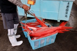 Thế giới - Thế giới 24h: Trung Quốc lên tiếng về đòn trừng phạt mới nhằm vào Nhật Bản