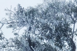 Tin tức trong ngày - Người dân bất ngờ khi miền Bắc xuất hiện băng giá sớm