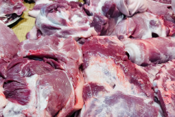 Thị trường - Tiêu dùng - Nông dân bán đàn lợn lỗ gần nửa tỷ đồng, ở chợ thịt lợn có loại vẫn 190 nghìn/kg