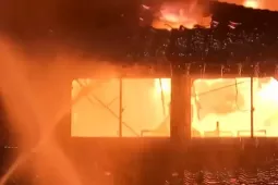 Thế giới - Đám cháy lớn nhất trong 50 năm, thiêu rụi 170 ngôi nhà ở Nhật Bản