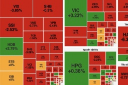 Kinh doanh - Kinh tế 24h: VN-Index quay đầu giảm sâu, nhóm công nghệ và tài chính kéo thị trường đi xuống