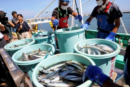 Căng thẳng leo thang: Nhật Bản chịu đòn kép từ Bắc Kinh, ảnh hưởng ra sao đến kinh tế?