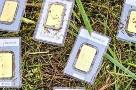 Đi cắt cỏ, nam công nhân tìm thấy 8 miếng vàng trị giá 920 triệu đồng