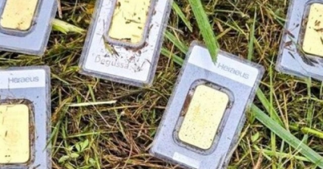 Đi cắt cỏ, nam công nhân tìm thấy 8 miếng vàng ...