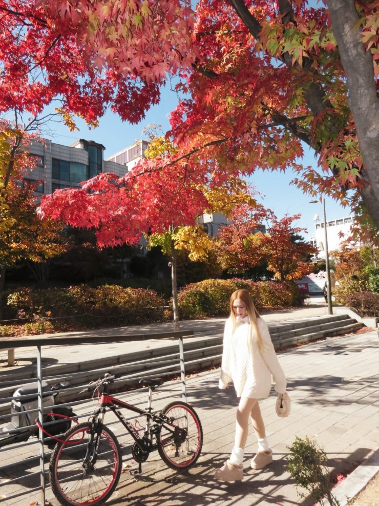 Sao Việt check in mùa lá vàng lá đỏ Hàn Quốc - 4