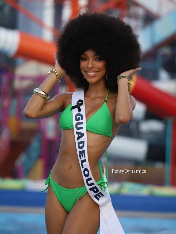 Ai đăng quang Hoa hậu Hoàn vũ 2025 - 17