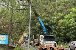 Du lịch - Khách du lịch Đà Lạt 'đứng ngồi không yên'