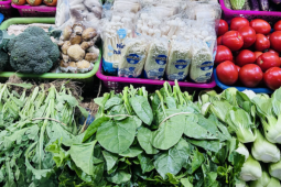 Thị trường - Tiêu dùng - Giám đốc vựa rau 200ha nói lý do rau xanh đắt hơn thịt, có loại 180.000 đồng/kg