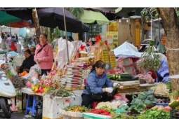 Bát phở có thể tăng giá vì cọng hành, người dân ngóng mãi giá rau xanh không giảm