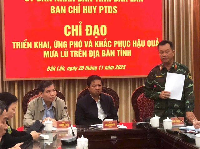 Ngập lụt Khánh Hòa, Đắk Lắk, Gia Lai: Đề xuất Bộ Quốc phòng sẵn sàng trực thăng ứng cứu - 6