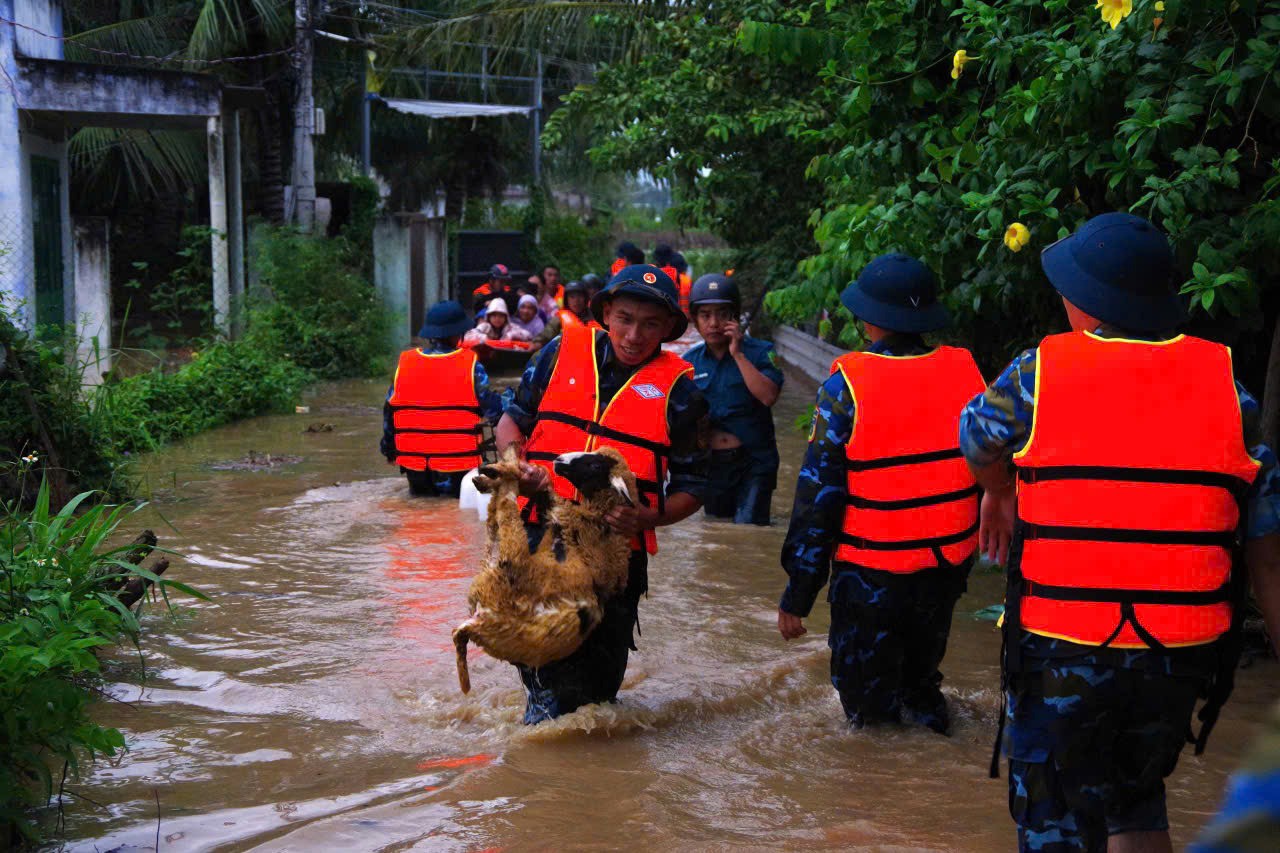 Các chiến sĩ thuộc Trung đoàn 937 hỗ trợ đưa vật nuôi của người dân ra khỏi khu vực ngập. Ảnh: Trung đoàn 937