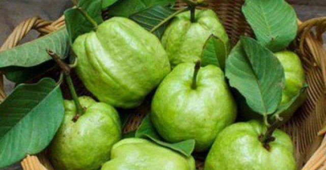 Nhóm người nên cân nhắc việc ăn ổi, để tránh khiến cơ thể gặp rắc rối không mong muốn