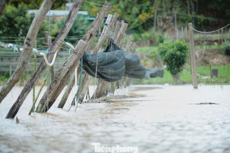 Xót xa cảnh tan hoang sau mưa lũ ở Lâm Đồng, nhiều hộ chỉ còn trơ lại nền nhà - 13