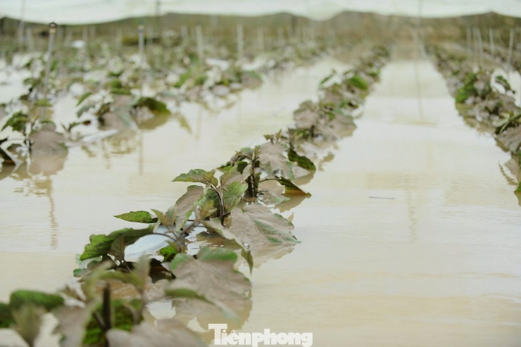 Xót xa cảnh tan hoang sau mưa lũ ở Lâm Đồng, nhiều hộ chỉ còn trơ lại nền nhà - 12