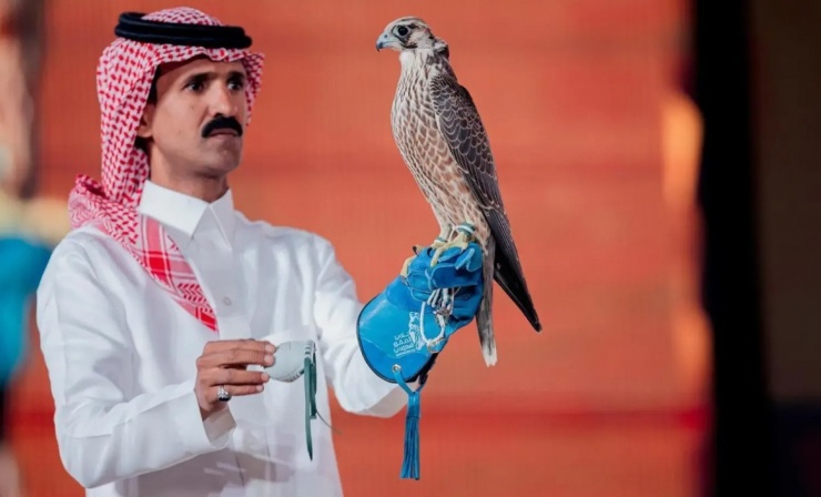 Con chim ưng được bán với giá 351.000 SR (2,4 tỷ đồng). (Ảnh: SPA)