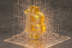 Bitcoin lao dốc về đáy 6 tháng: Điều gì đang thổi bão vào thị trường tiền số?