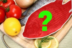 Tin tức sức khỏe - Việt Nam có 1 loại cá mệnh danh là &quot;gà nước&quot; đại bổ cho xương khớp