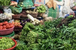 TP.HCM kích hoạt giải pháp khẩn cấp giữ bình ổn giá rau