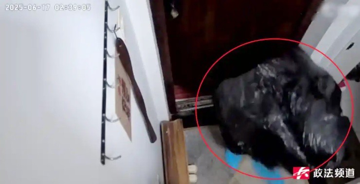 Ảnh: Zhengfa Channel