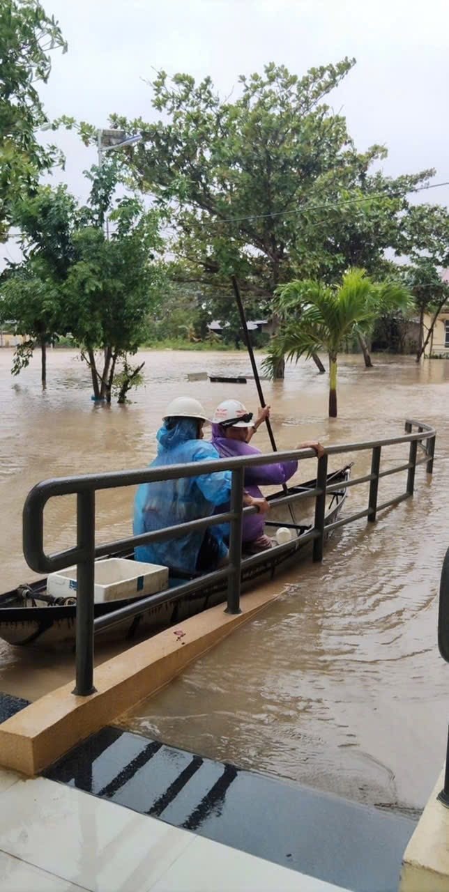 Nhiều nghệ sĩ cầu cứu thay người thân trong vùng lũ - 1