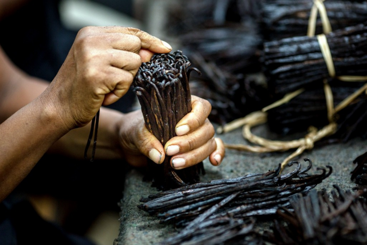 Cây “vô danh” bất ngờ thành đặc sản giá 15 triệu đồng/kg, Việt Nam cũng đã trồng thành công - 3