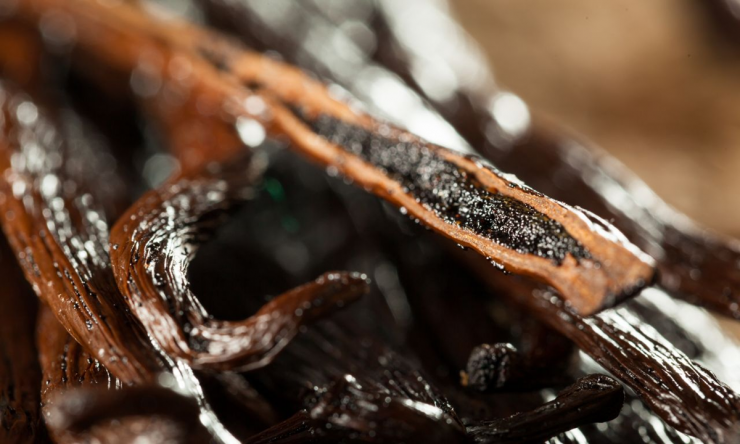 Cây “vô danh” bất ngờ thành đặc sản giá 15 triệu đồng/kg, Việt Nam cũng đã trồng thành công - 4