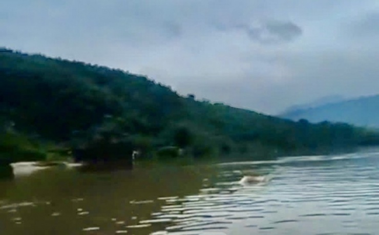 Hiện trường phát hiện thi thể nghi là thi thể tài xế xe tải. 