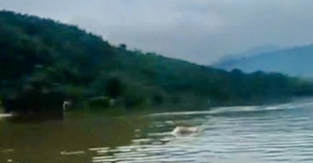 Tìm thấy thi thể nghi là tài xế xe đầu kéo bị n...