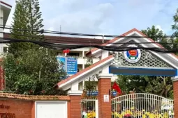 Vụ dân tố 'thực phẩm bẩn tuồn vào trường học': Cách toàn bộ chức vụ trong Đảng đối với hiệu trưởng