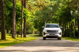 Top 5 xe hybrid bán nhiều nhất tại Việt Nam tháng 10/2025