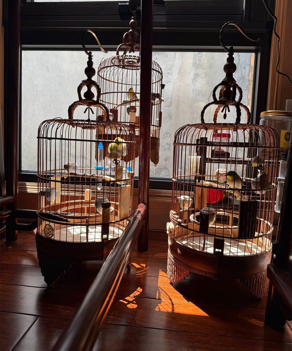 Đây là thú vui tao nhã, giúp nghệ sĩ Vượng Râu thư giãn, cải thiện tâm trạng và kết nối với thiên nhiên.