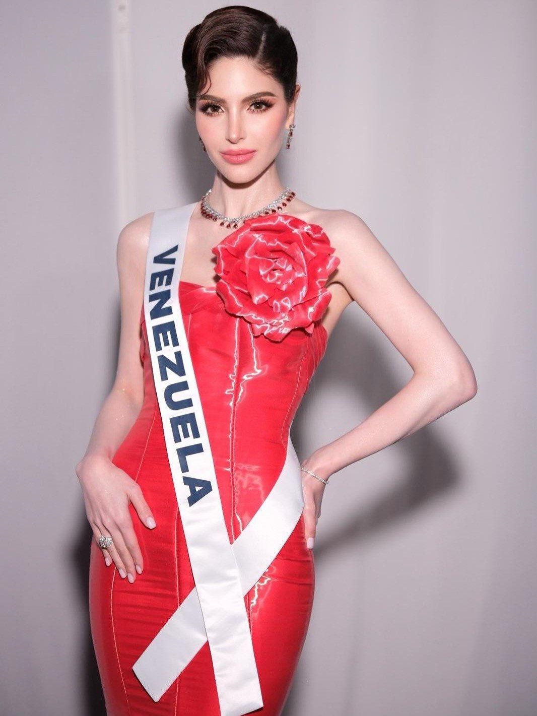 Cả ba phần thi áo tắm, dạ hội và ứng xử của Stephany đều được đánh giá cao, nhận được tràng pháo tay ủng hộ của khán giả. Nhiều người cho rằng cô xứng đáng giành vị trí cao hơn. Stephany được xem là ứng viên nổi bật mà Venezuela gửi tới đấu trường Hoa hậu Hoàn vũ những năm qua. Cô có làn da trắng nổi bật, phong thái kiêu sa, thanh lịch.