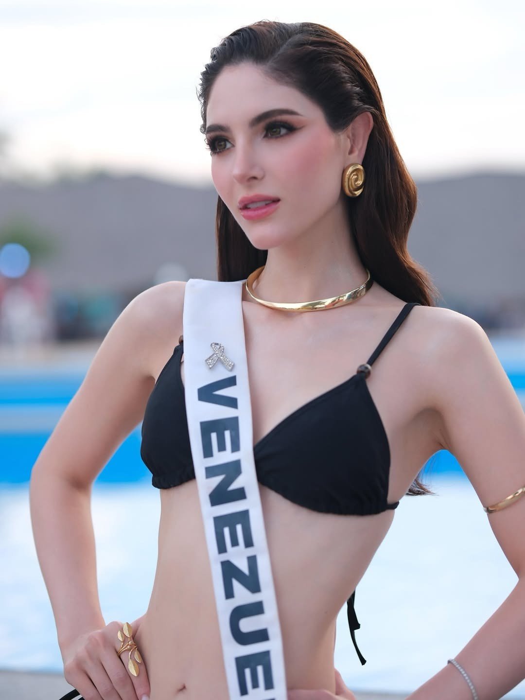 Người đẹp Venezuela thuộc nhóm thí sinh có hình thể nổi bật, kỹ năng trình diễn chuyên nghiệp. Cô 25 tuổi, cao 1,74 m, đang theo học kỳ cuối chuyên ngành Kinh tế tại Đại học Quốc tế Florida, Mỹ, đồng thời là người mẫu ở quê nhà.