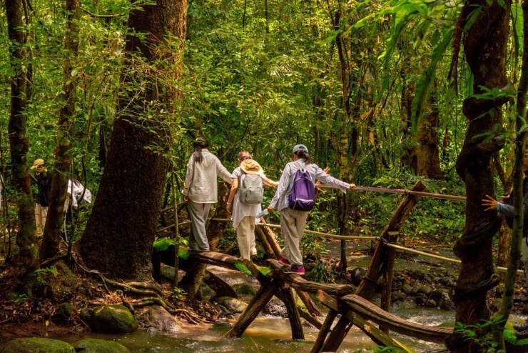 Rừng Cát Tiên mang vẻ đẹp hoang sơ với những mảng xanh rộng lớn, tán cây cổ thụ rợp bóng và những con suối trong vắt uốn lượn giữa rừng. Không chỉ là điểm khám phá thiên nhiên, nơi đây còn là “studio” ngoài trời lý tưởng để du khách lưu giữ những bức ảnh ấn tượng. Ảnh Hoang Anh