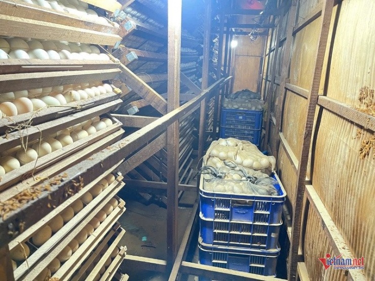 Lò ấp của ông Nguyễn Ngọc Kiểu có 58.000 quả trứng vừa bị ngập trong lũ. Ảnh: Trần Hoàn